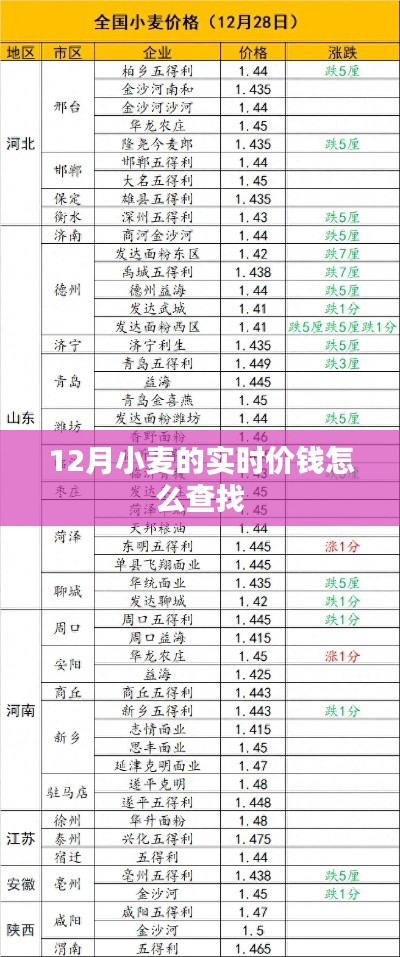 12月小麦实时价格查询方法与行情分析