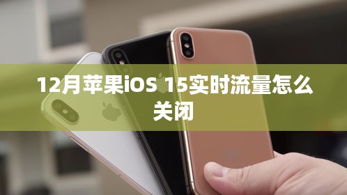 苹果iOS 15实时流量关闭教程