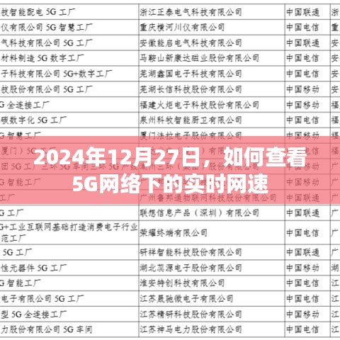 2024年12月如何查看5G网络实时网速详解