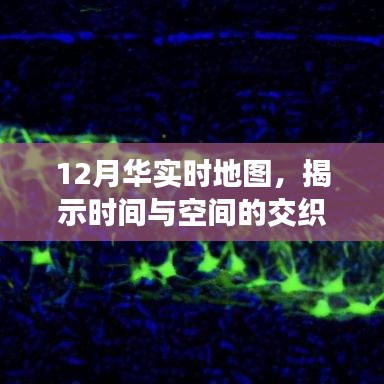 12月华实时地图，时空交织之美揭秘