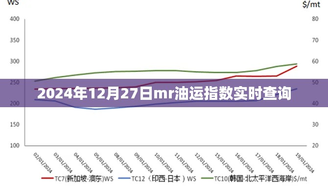 2024年油运指数实时查询，最新市场动态掌握在手