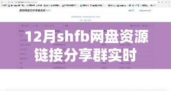 12月shfb网盘资源分享群，实时链接大放送