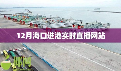 海口进港直播网站实时更新