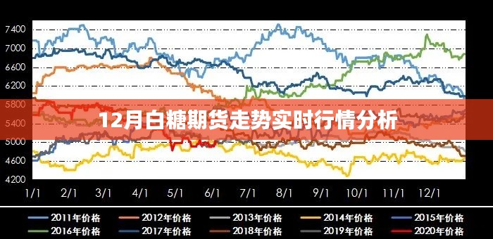 白糖期货走势实时分析，最新行情动态解读