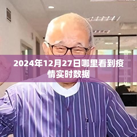 疫情实时数据查询指南，2024年12月27日查询入口