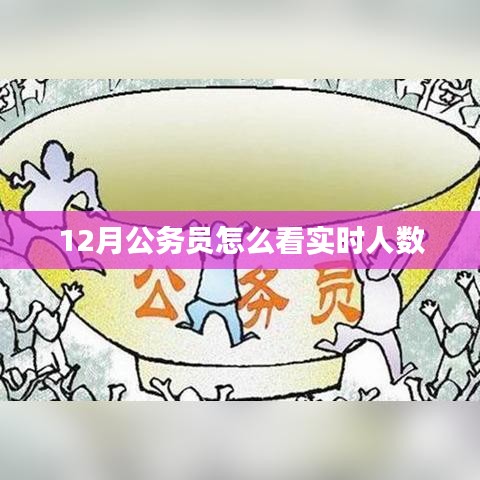 公务员实时人数查看指南，12月版