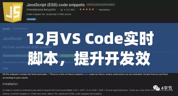 VS Code实时脚本实践，提升开发效率的最佳指南