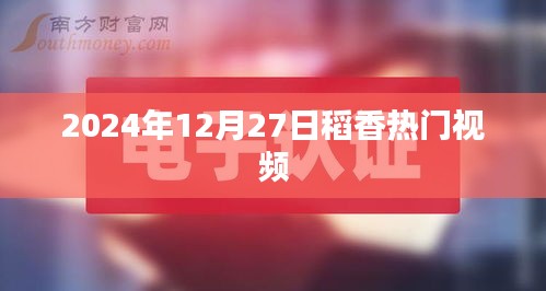 稻香热门视频来袭，2024年冬季不容错过