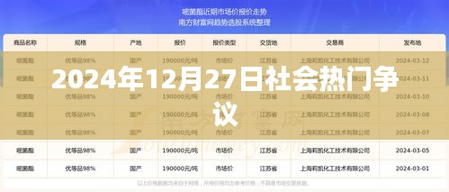 社会热点争议热议，聚焦2024年12月27日热议话题