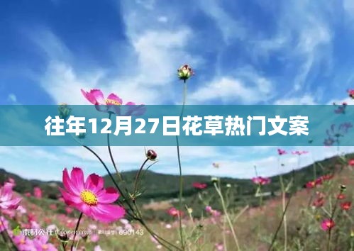 往年12月27日花草盛宴，热门文案回顾