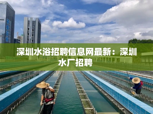 深圳水浴招聘信息网最新：深圳水厂招聘 