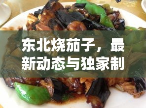 东北烧茄子，最新动态与独家制作秘籍，美味佳肴不容错过！