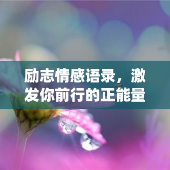 励志情感语录，激发你前行的正能量