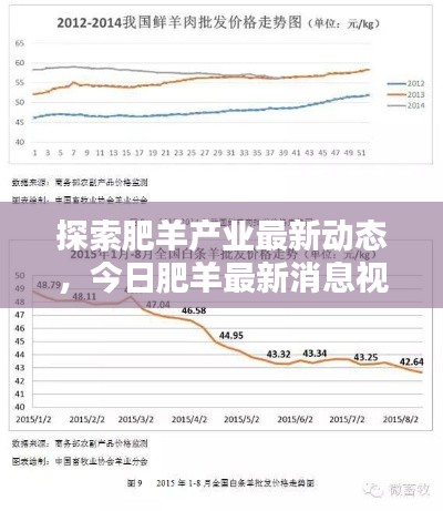 探索肥羊产业最新动态，今日肥羊最新消息视频发布