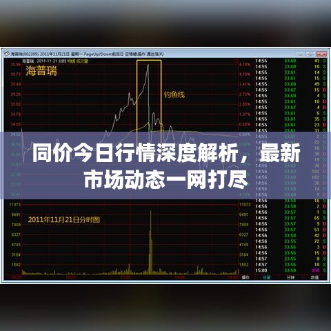 同价今日行情深度解析，最新市场动态一网打尽