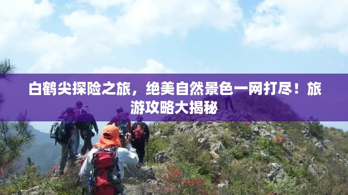 白鹤尖探险之旅，绝美自然景色一网打尽！旅游攻略大揭秘