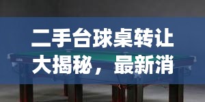 二手台球桌转让大揭秘，最新消息与市场洞察一网打尽！