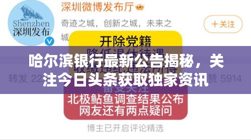 哈尔滨银行最新公告揭秘，关注今日头条获取独家资讯