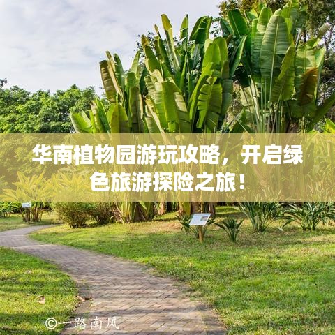 华南植物园游玩攻略，开启绿色旅游探险之旅！