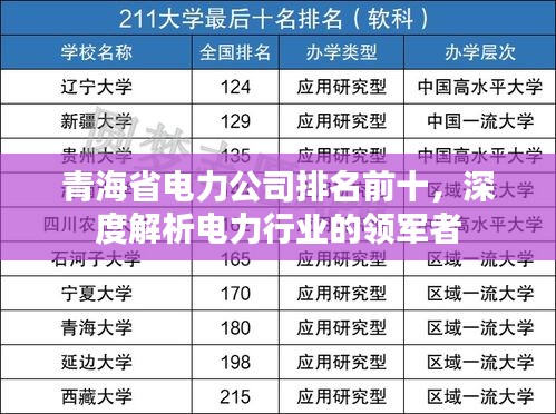 青海省电力公司排名前十，深度解析电力行业的领军者