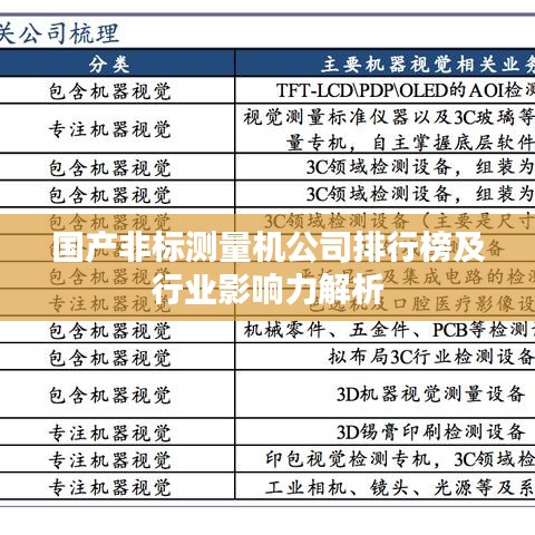 国产非标测量机公司排行榜及行业影响力解析