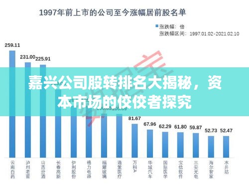 嘉兴公司股转排名大揭秘，资本市场的佼佼者探究