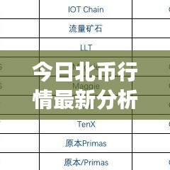 今日北币行情最新分析，市场走势揭秘