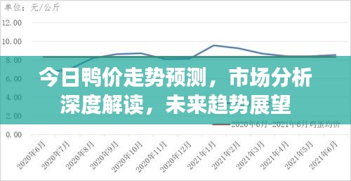 今日鸭价走势预测，市场分析深度解读，未来趋势展望