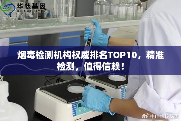 烟毒检测机构权威排名TOP10，精准检测，值得信赖！