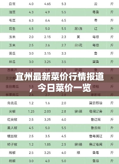 宜州最新菜价行情报道，今日菜价一览