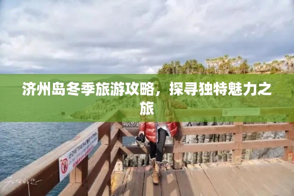 济州岛冬季旅游攻略，探寻独特魅力之旅