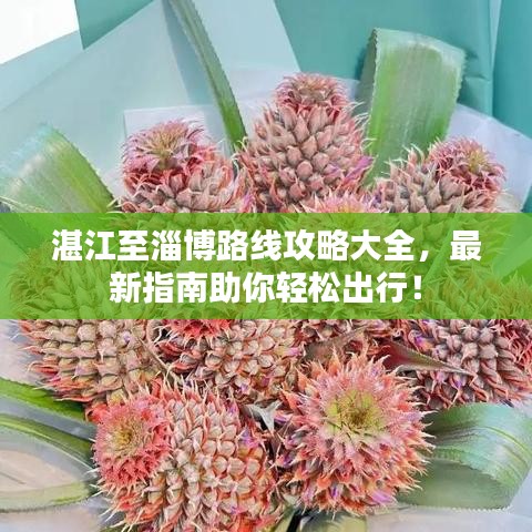 湛江至淄博路线攻略大全，最新指南助你轻松出行！