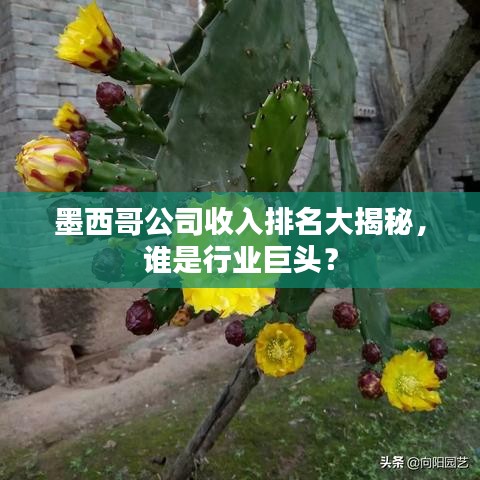 墨西哥公司收入排名大揭秘，谁是行业巨头？