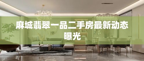 麻城翡翠一品二手房最新动态曝光