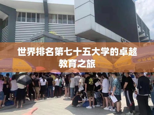 世界排名第七十五大学的卓越教育之旅