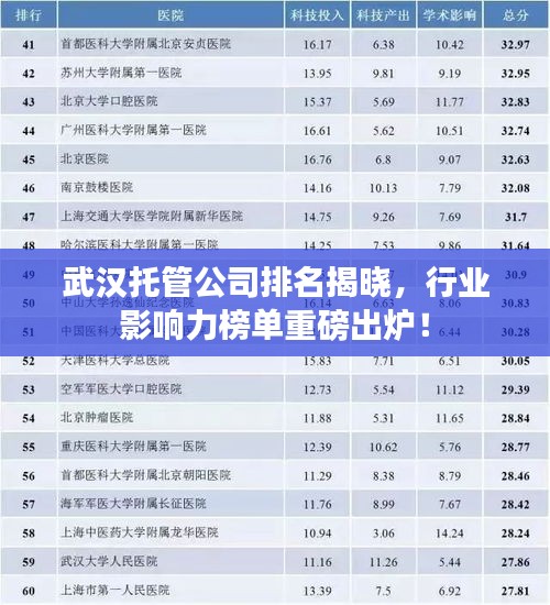 武汉托管公司排名揭晓，行业影响力榜单重磅出炉！