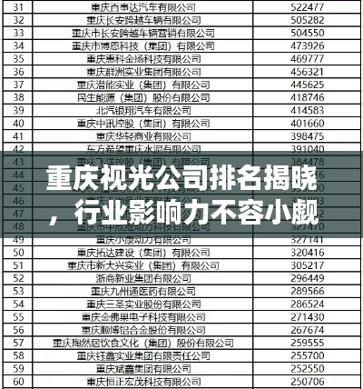 重庆视光公司排名揭晓，行业影响力不容小觑！