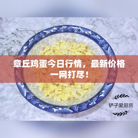 章丘鸡蛋今日行情，最新价格一网打尽！