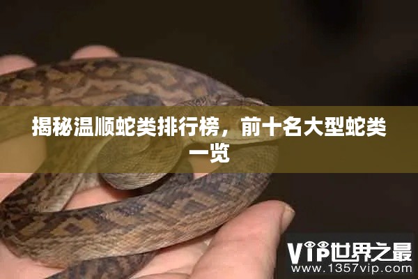 揭秘温顺蛇类排行榜，前十名大型蛇类一览
