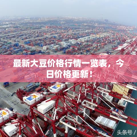 最新大豆价格行情一览表，今日价格更新！