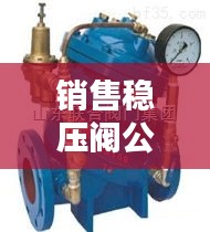 销售稳压阀公司排行榜及行业影响力解析