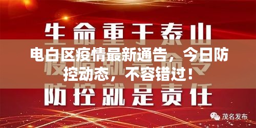 电白区疫情最新通告，今日防控动态，不容错过！
