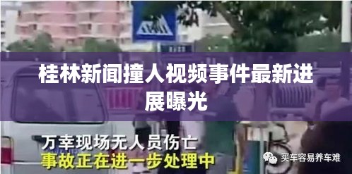 桂林新闻撞人视频事件最新进展曝光