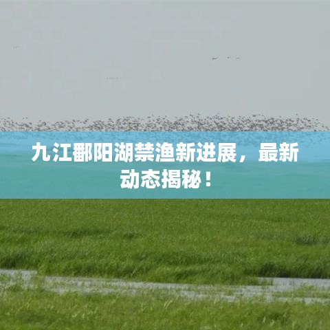 九江鄱阳湖禁渔新进展，最新动态揭秘！