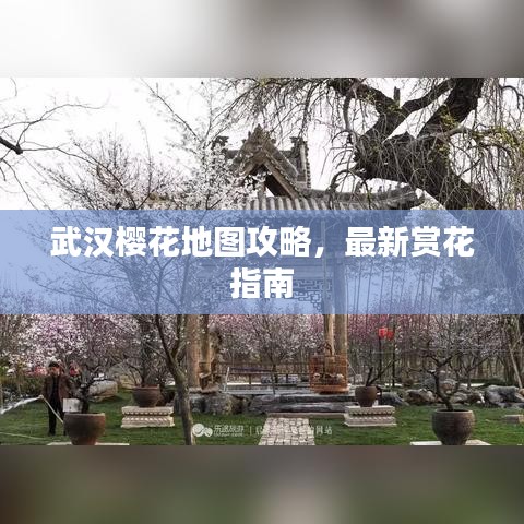 武汉樱花地图攻略，最新赏花指南