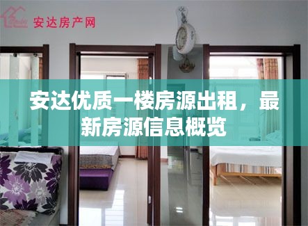 安达优质一楼房源出租，最新房源信息概览