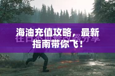 海油充值攻略，最新指南带你飞！