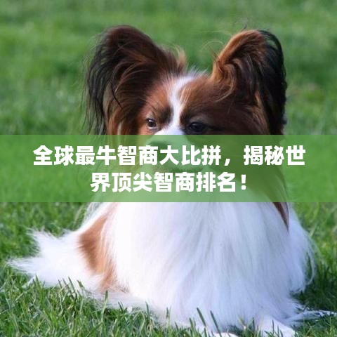 全球最牛智商大比拼，揭秘世界顶尖智商排名！