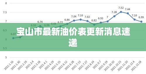 宝山市最新油价表更新消息速递