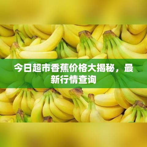 今日超市香蕉价格大揭秘，最新行情查询